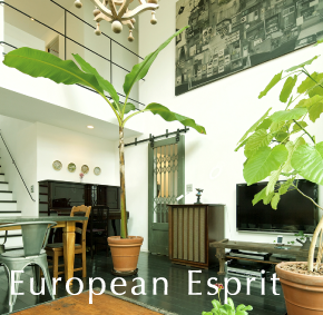 european esprit