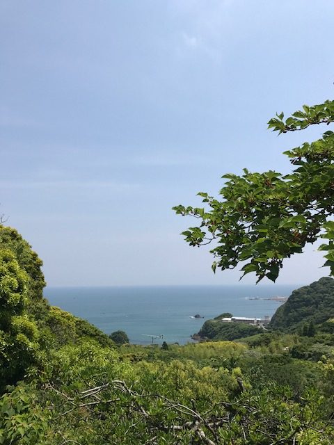 鴨川.1